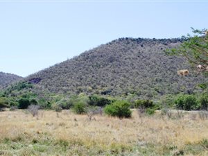 1019 m² Land available in Mookgophong (Naboomspruit)