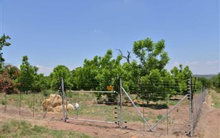 6 Bedroom House in Kameelfontein and surrounds