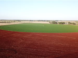 98 ha Farm in Bela-Bela (Warmbaths)