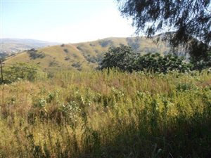 5.9 ha Land available in Cliffdale