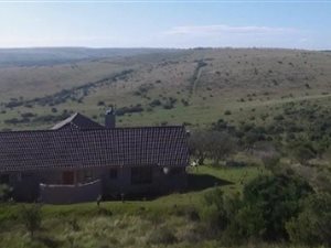 530 m² Farm in Alexandria
