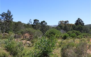 15.8 ha Land available in Plettenberg Bay