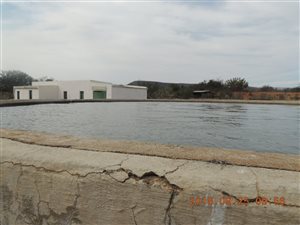 408 ha Farm in Willowmore