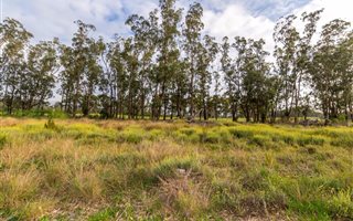 600 m² Land available in Wedgewood Golf Estate