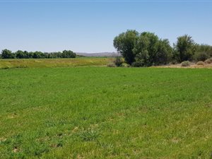 20 ha Farm in Upington