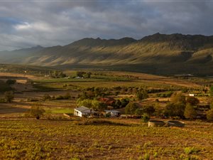 26 ha Farm in Montagu