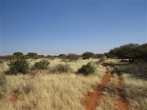 1740 ha Farm in Hopetown