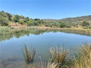 107.6 ha Farm in Dullstroom