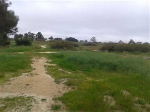 2820 m² Land available in Hopefield
