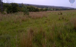 5.1 ha Farm in Rietfontein