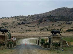 1.5 ha Land available in Machadodorp