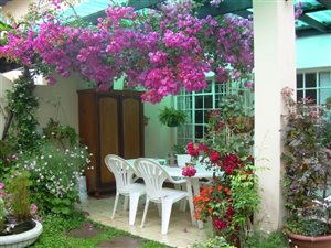 3 Bed House in Plettenberg Bay