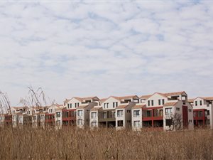 1 Bedroom Apartment in Craigavon AH