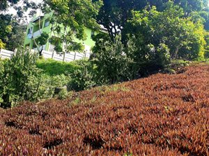 1890 m² Land available in Clare Hills