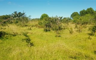 36 ha Land available in Bathurst and Surrounds