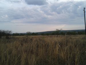 54 ha Land available in Wonderboom AH