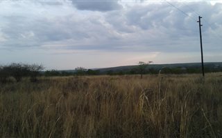54 ha Land available in Wonderboom AH