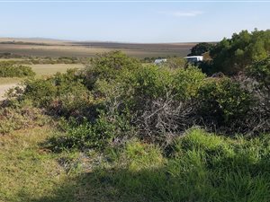 654 m² Land available in Boggoms Bay