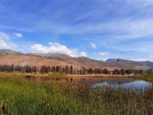 36 ha Farm in Robertson
