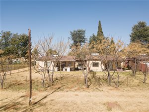 8565 m² Farm in President Park