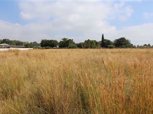 2014 m² Land available in Deneysville