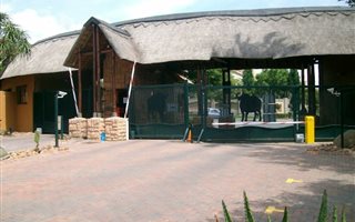 1 Bedroom Apartment in Douglasdale
