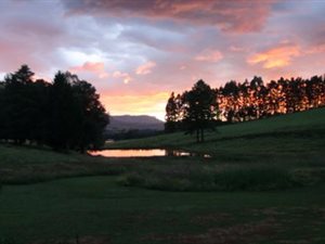 20 ha Farm in Underberg