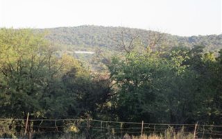8.5 ha Farm in Elandsfontein AH