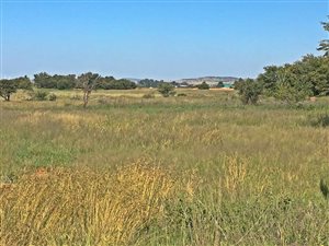 1 ha Land available in Estoire