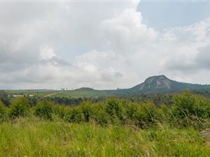 3167.3 ha Farm in White River