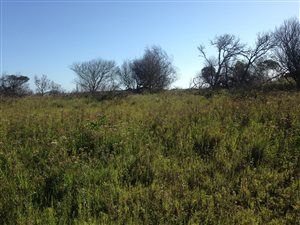 9400 m² Land available in Kwelera