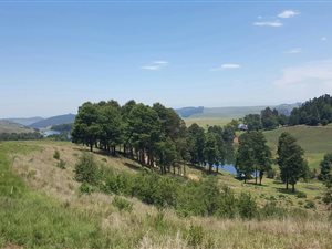 3548 m² Land available in Nottingham Road