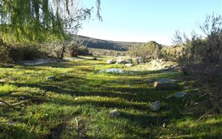 2268 ha Farm in Sutherland
