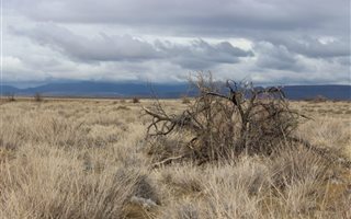 4493 ha Farm in Ceres