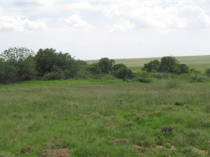200 ha Farm in Frankfort