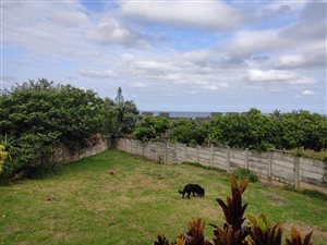 3 Bed House in Shelly Beach