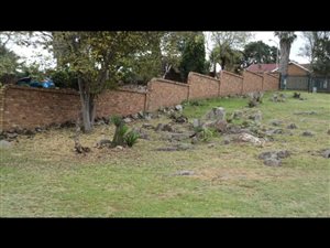 3 Bed House in Erasmia