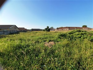 1000 m² Land available in Birdswood