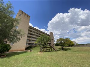 2 Bed Apartment in Pioneer Park