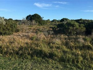 1482 m² Land available in St Francis Links