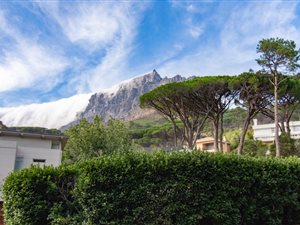 3 Bed House in Higgovale