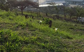 4096 m² Land available in Sea Cow Lake