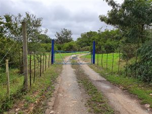 44 ha Farm in Plettenberg Bay