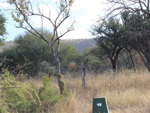 22 ha Farm in Bela-Bela (Warmbaths)
