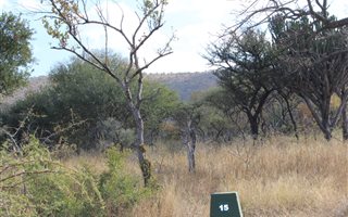 22 ha Farm in Bela-Bela (Warmbaths)