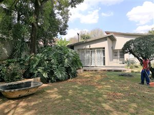 3 Bed House in Orchards