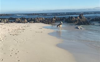 702 m² Land available in Pearly Beach