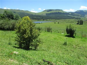 178 ha Farm in Mooi River