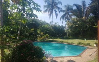 80 ha Farm with House in Izotsha
