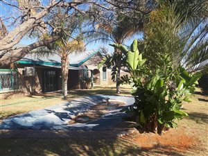 5 ha Farm in Klippunt